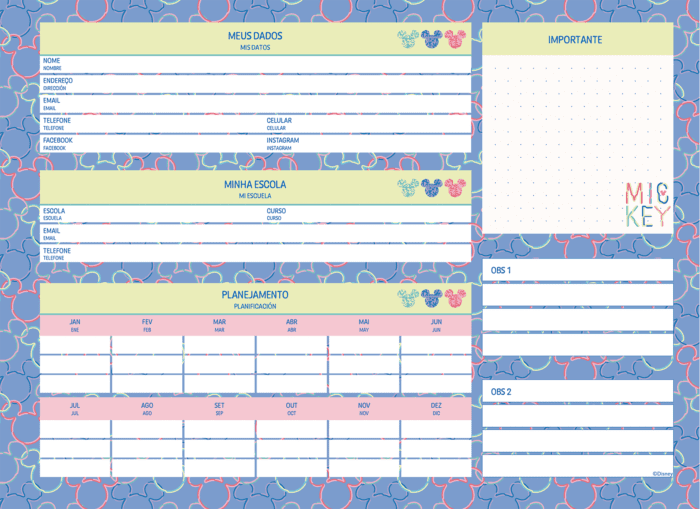 CADERNO CARTOGRAFIA - MICKEY ARTS - Imagem 3