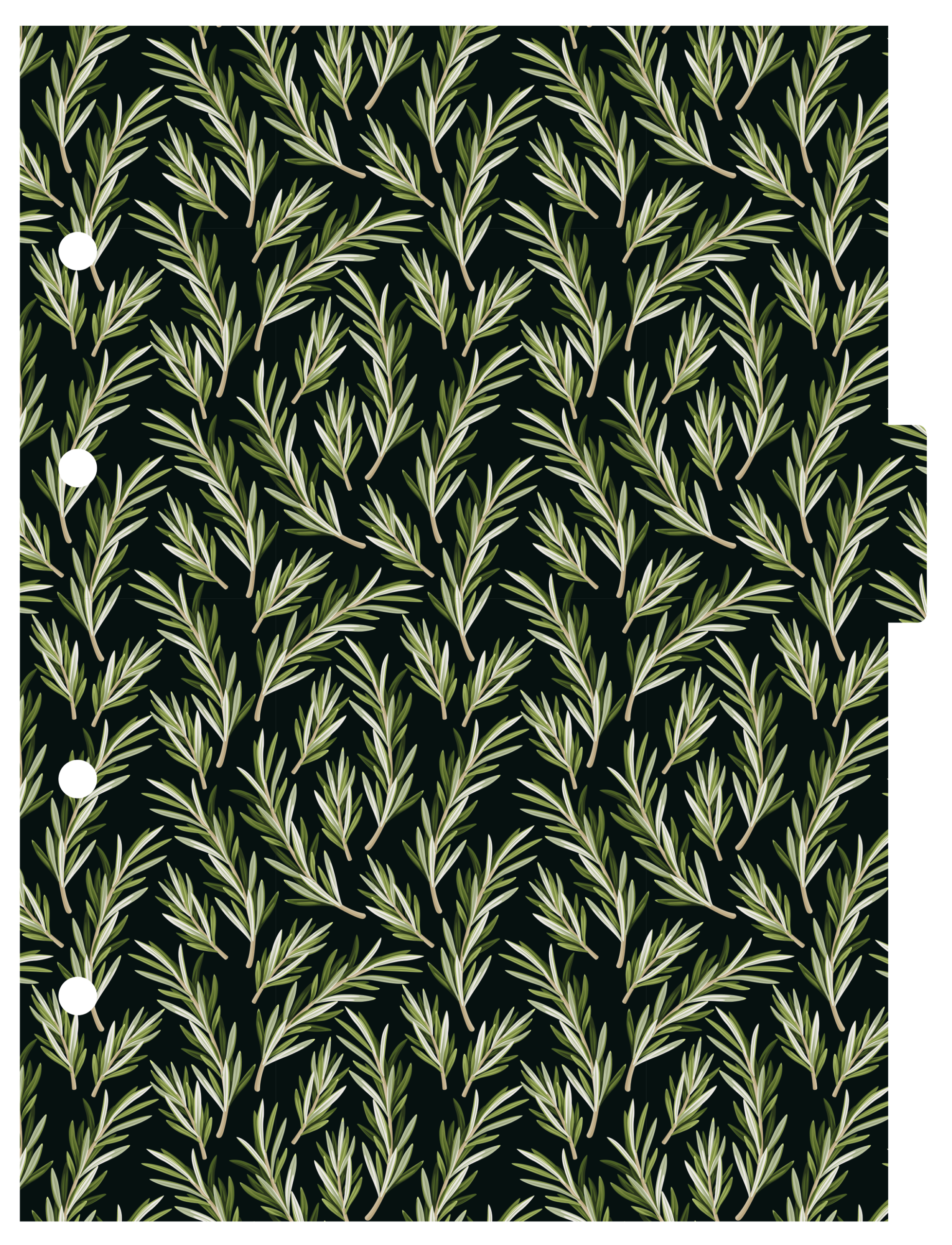 CADERNO ARGOLAGO COLLEGE - MYSTIC - Imagem 5