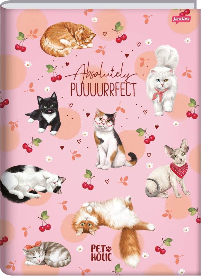 CADERNO BROCHURA UNIVERSITÁRIO - PET HOLIC - Imagem 2