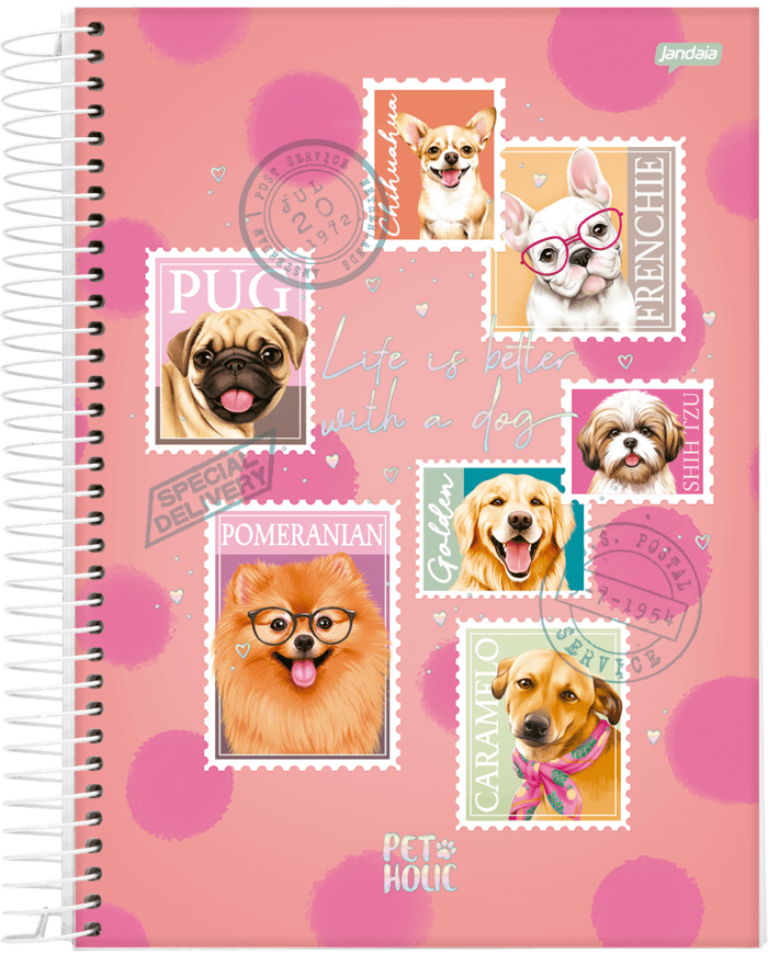 CADERNO UNIVERSITÁIRO - PET HOLIC