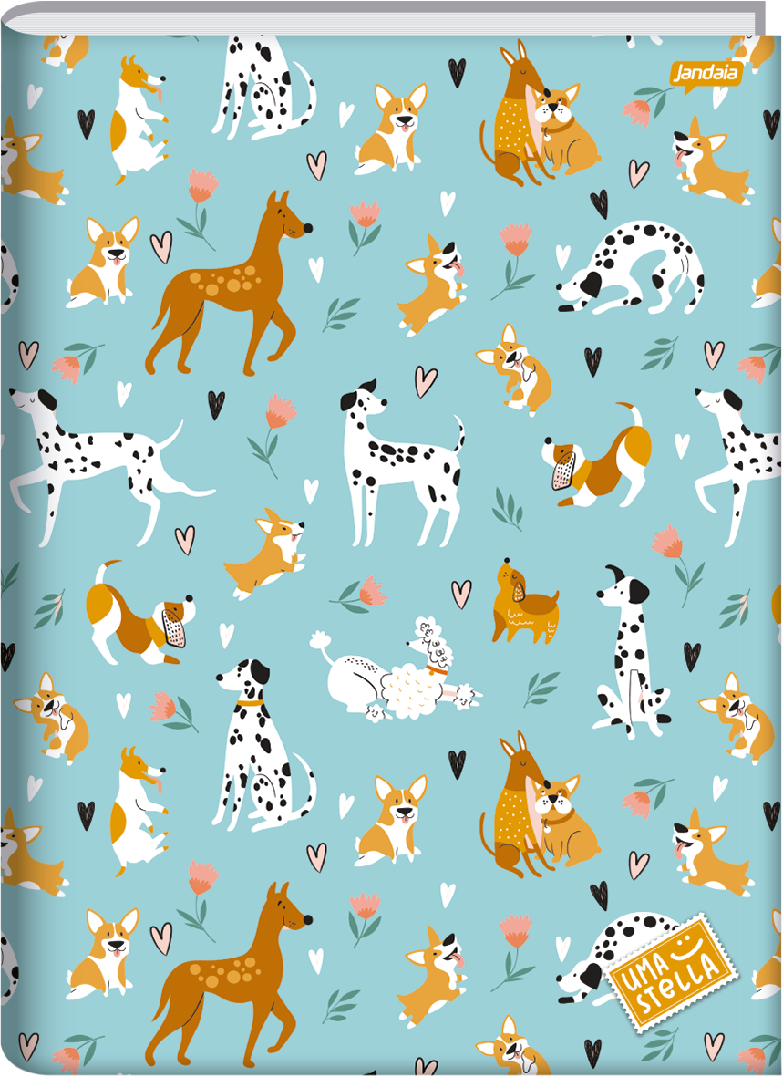 CADERNO BROCHURA 1/4 - STELLA - Imagem 3