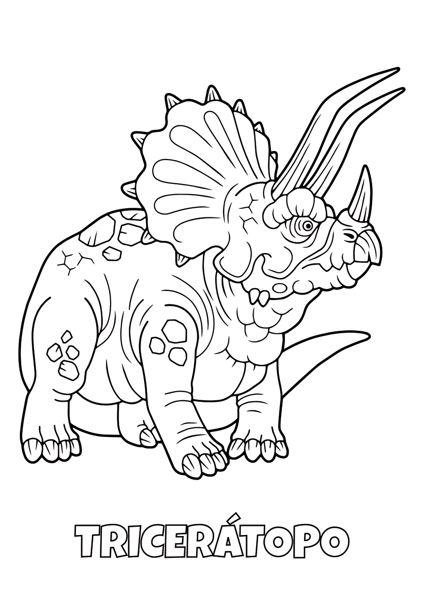 FOLHAS ILUSTRAÇÃO - STONE - Imagem 2