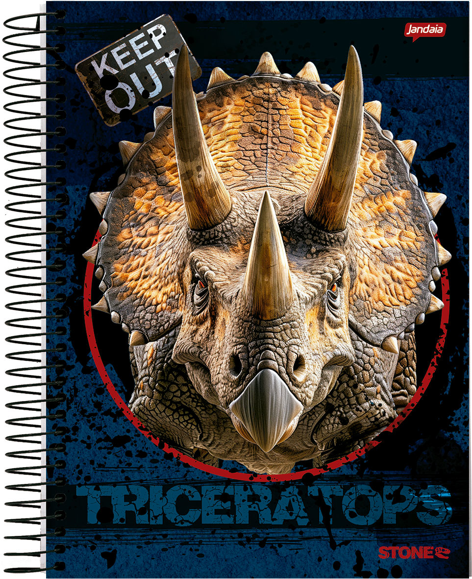 CADERNO ESPIRAL UNIVERSITÁRIO - STONE - Imagem 2