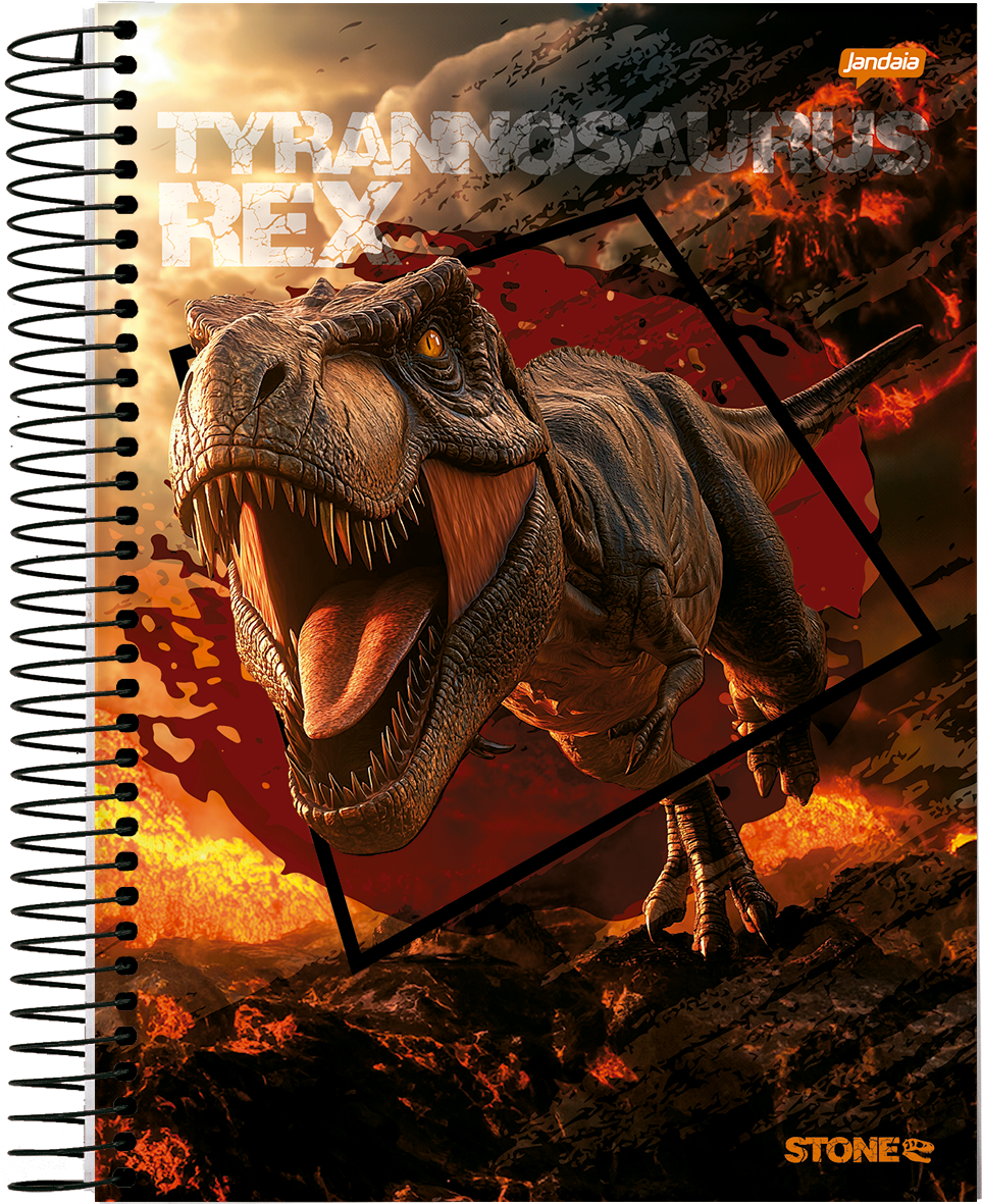 CADERNO ESPIRAL UNIVERSITÁRIO - STONE - Imagem 4