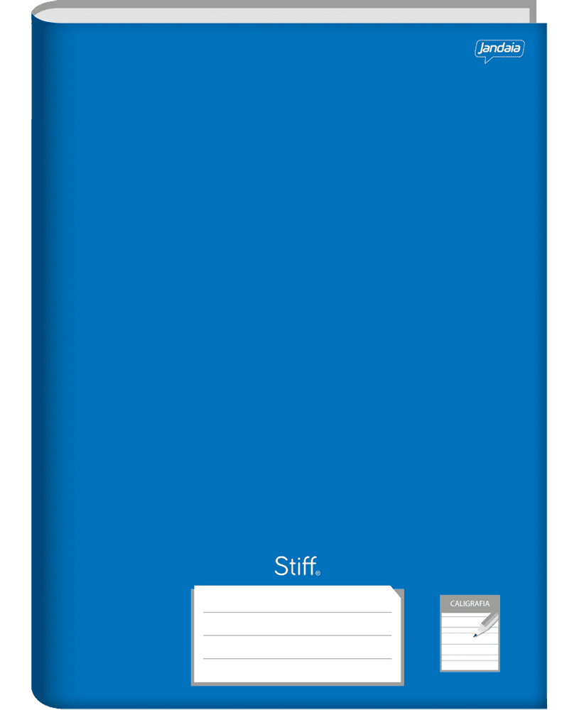CADERNO BROCHURA UNIVERSITÁRIO PEDAGÓGICO - STIFF - Imagem 2