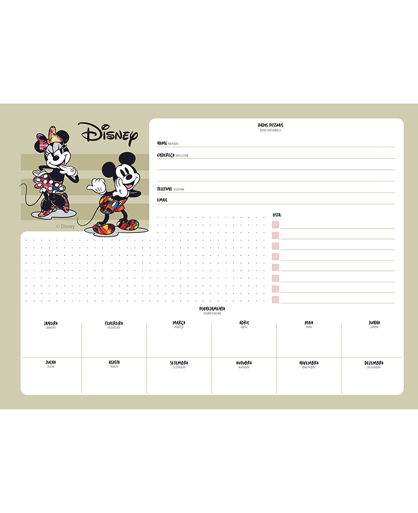 CADERNO CARTOGRAFIA - DISNEY PROJETO DE&I - Imagem 3
