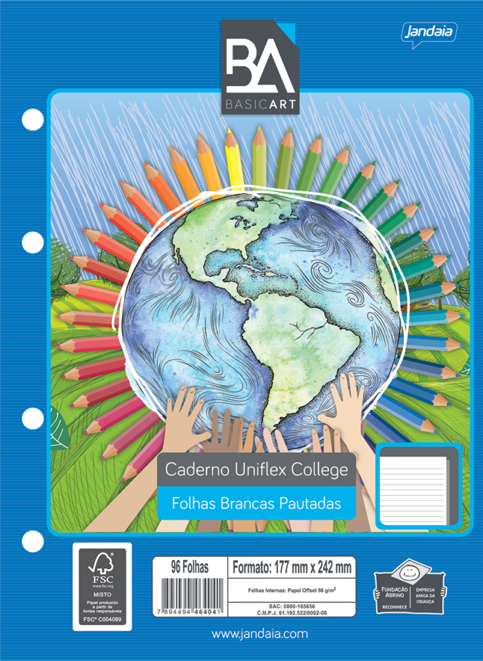 CADERNO UNIFLEX COLLEGE - BASIC ART