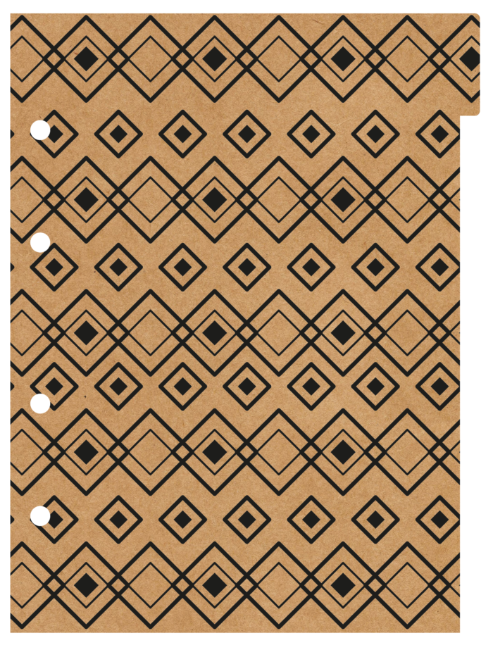 CADERNO ARGOLADO COLLEGE - KRAFT COLOR - Imagem 7