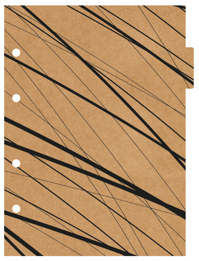CADERNO ARGOLADO COLLEGE - KRAFT COLOR - Imagem 6