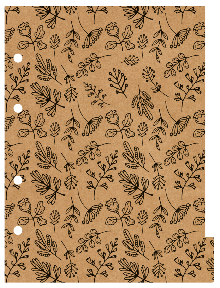 CADERNO ARGOLADO COLLEGE - KRAFT COLOR - Imagem 2