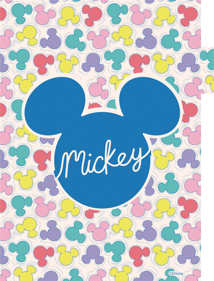 CADERNO ARGOLADOS UNIVERSITÁRIO - MICKEY ARTS - Imagem 6