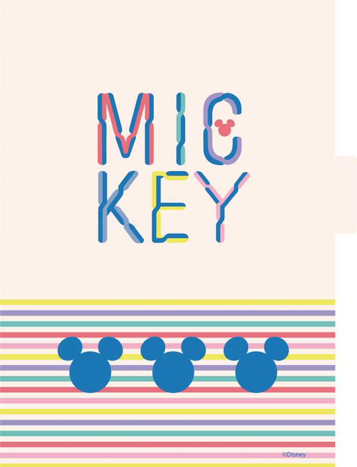 CADERNO ARGOLADOS UNIVERSITÁRIO - MICKEY ARTS - Imagem 5