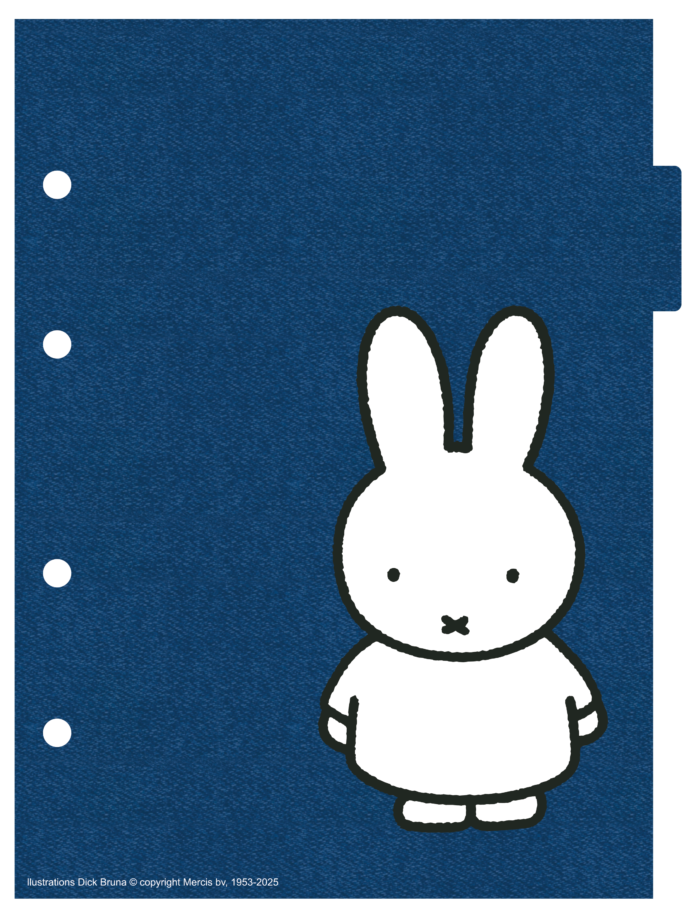 CADERNO ARGOLADO COLLEGE - MIFFY - Imagem 6