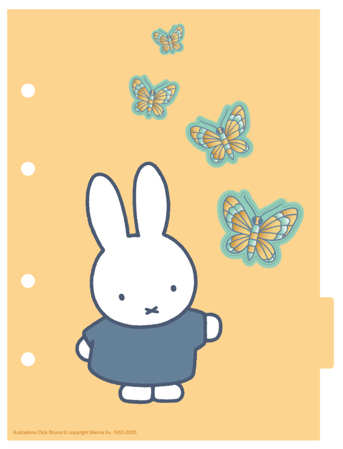 CADERNO ARGOLADO COLLEGE - MIFFY - Imagem 3