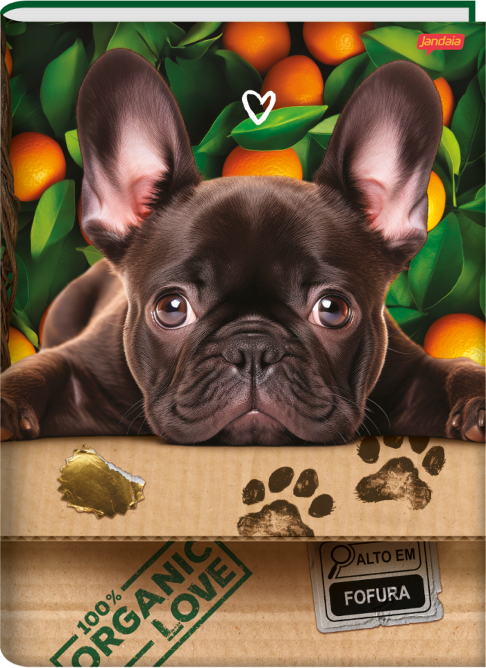 CADERNO BROCHURA UNIVERSITÁRIO - PET'S LOVE - Imagem 3