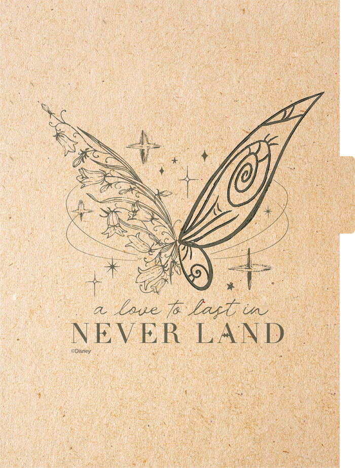 CADERNO ARGOLADO COLLEGE - TINKER BELL KRAFT - Imagem 5