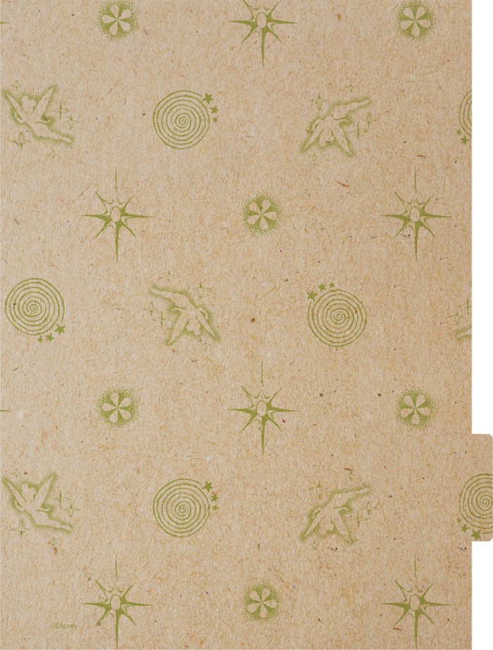 CADERNO ARGOLADO COLLEGE - TINKER BELL KRAFT - Imagem 3
