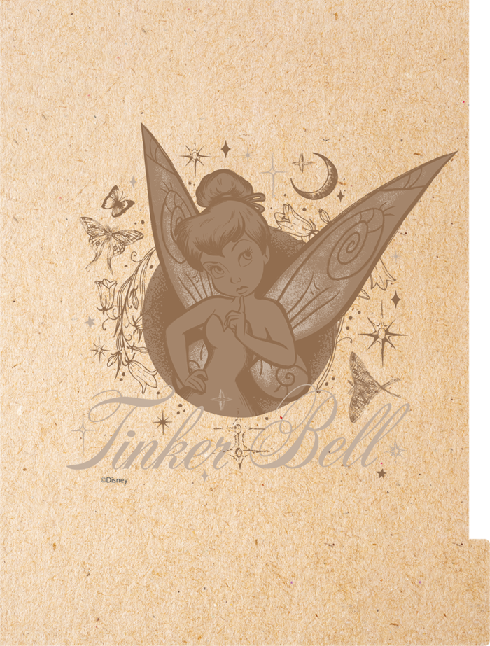 CADERNO ARGOLADO COLLEGE - TINKER BELL KRAFT - Imagem 2