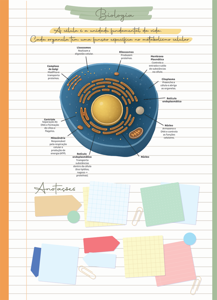 AGENDA PLANNER NEO - PLANNER DO PROFESSOR - Imagem 4